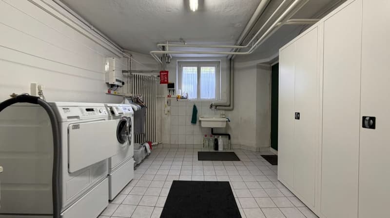 2 WOHNUNGEN + GARTEN + GÄSTEZIMMER + GARAGE/PARKPLÄTZE + MIETEINNAHMEN - SELTENE CHANCE (20)