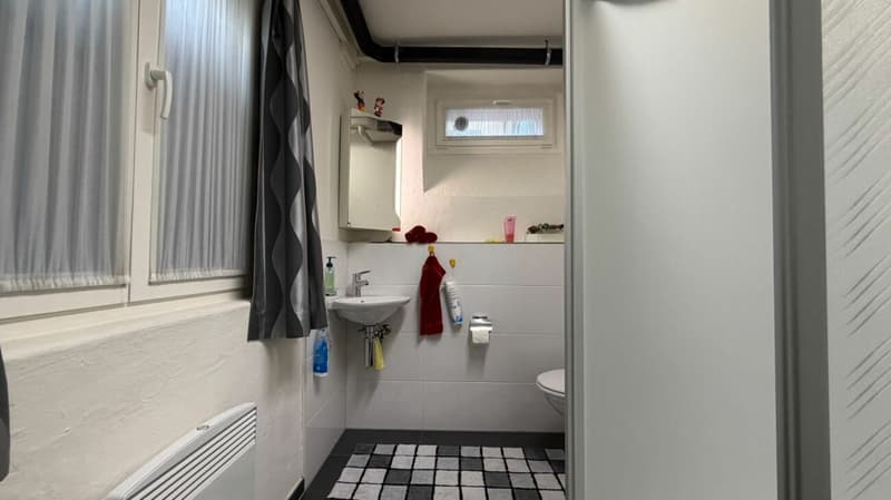 2 WOHNUNGEN + GARTEN + GÄSTEZIMMER + GARAGE/PARKPLÄTZE + MIETEINNAHMEN - SELTENE CHANCE (13)