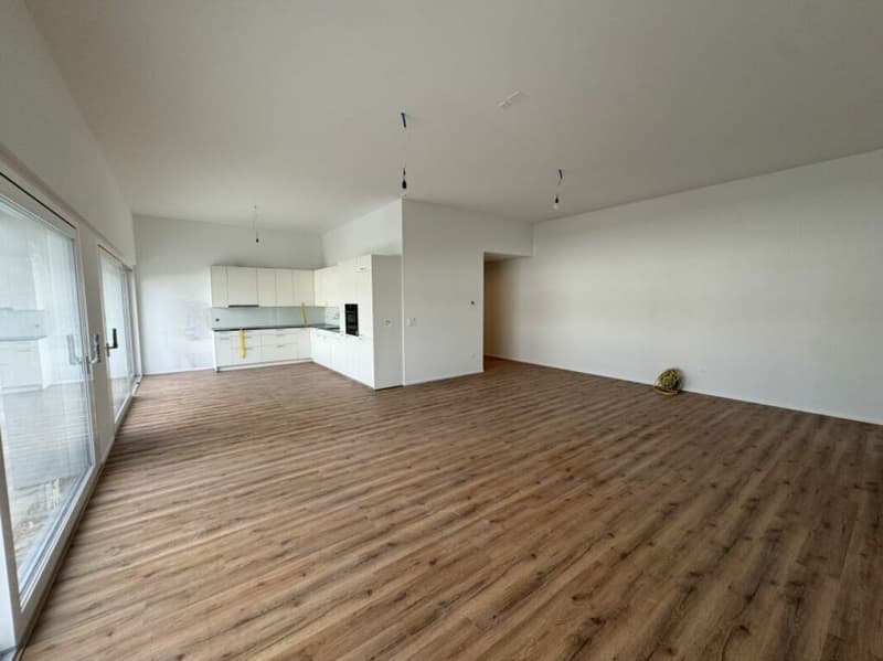 Gallusstrasse 81, Olten (7)