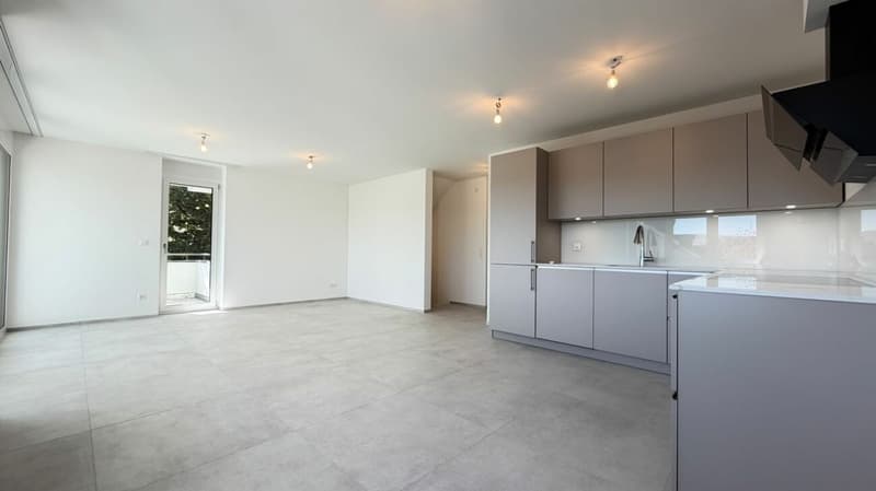 Ihr Gartenglück in Oberwil - mit Wintergarten, Privatgarten und Aussenparkplatz (4)