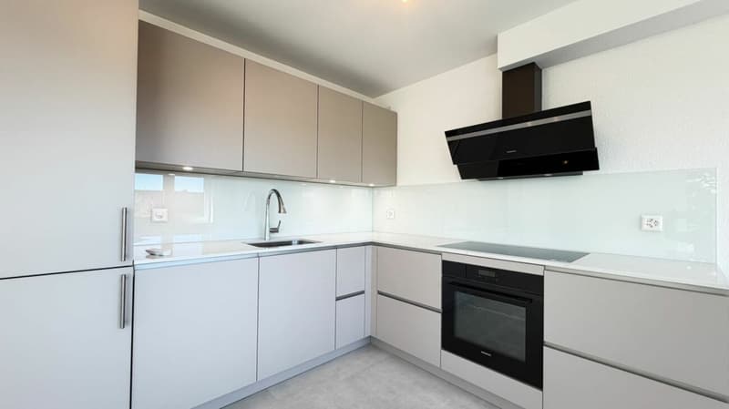 Neu ausgebaute 3.5- und 4.5-Zimmer-Wohnungen - separat oder zusammen kaufbar in Oberwil (17)