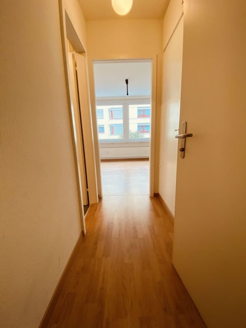 Helle und gemütliche 1 Zimmerwohnung mit Bad und Küche per sofort (3)