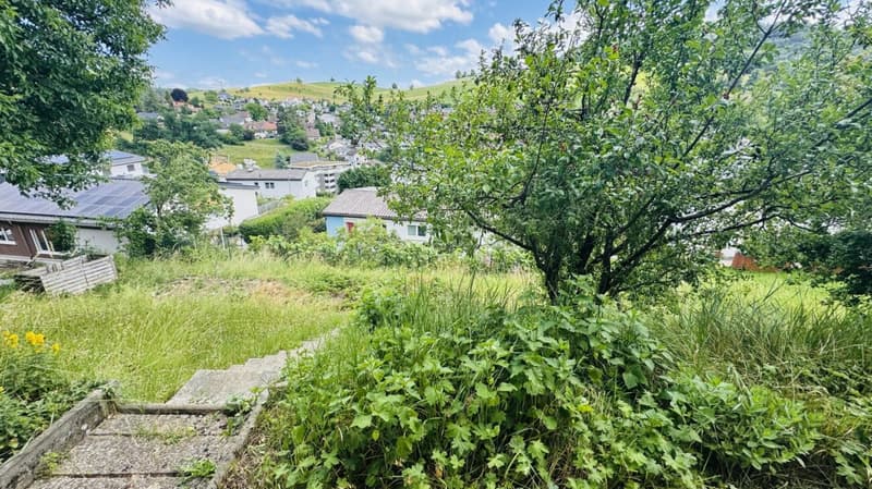Freiheit mit Weitblick - Ihr Haus mit Garten & Garage (26)