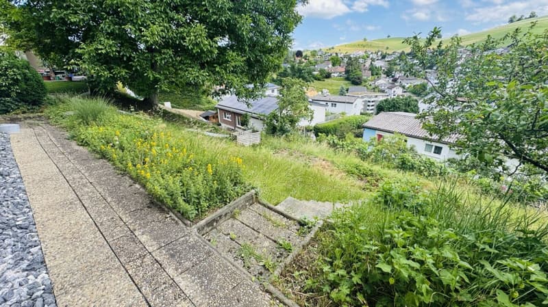 Freiheit mit Weitblick - Ihr Haus mit Garten & Garage (24)