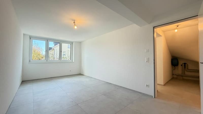 Zwei Wohnträume in Oberwil - einzeln oder zusammen (15)
