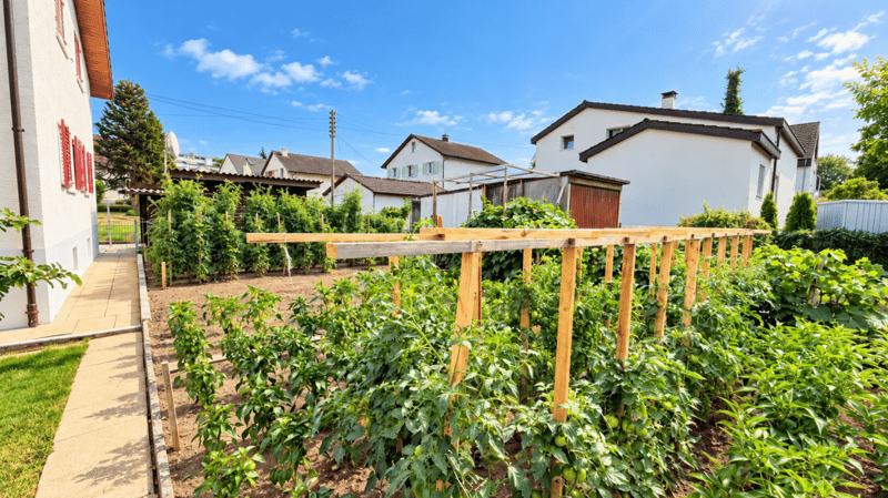 Freiheit & Platz - Haus mit Doppelgarage & Garten (4)