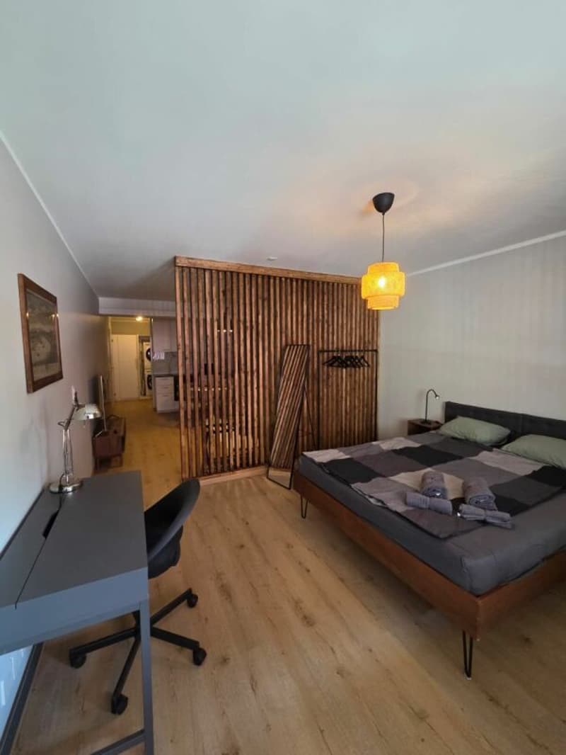 Möbliert wohnen - 1.5 Zimmer, 44 m² & Balkon (2)