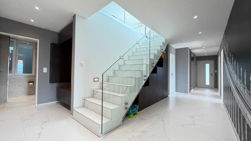 Duplex über Trimbach - Terrassen & Panoramablick (8)