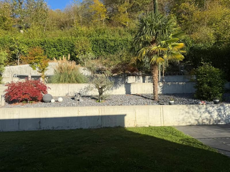 Duplex über Trimbach - Terrassen & Panoramablick (24)