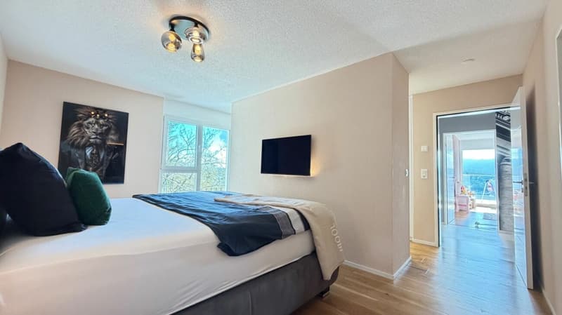 Duplex über Trimbach - Terrassen & Panoramablick (9)