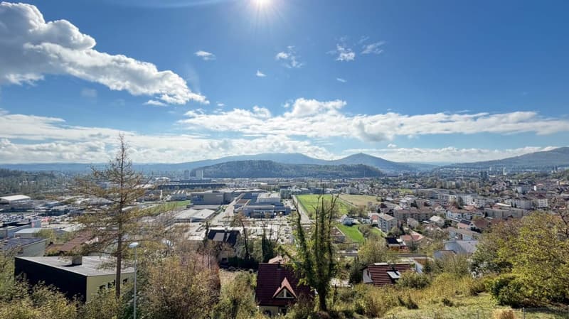 Duplex über Trimbach - Terrassen & Panoramablick (2)