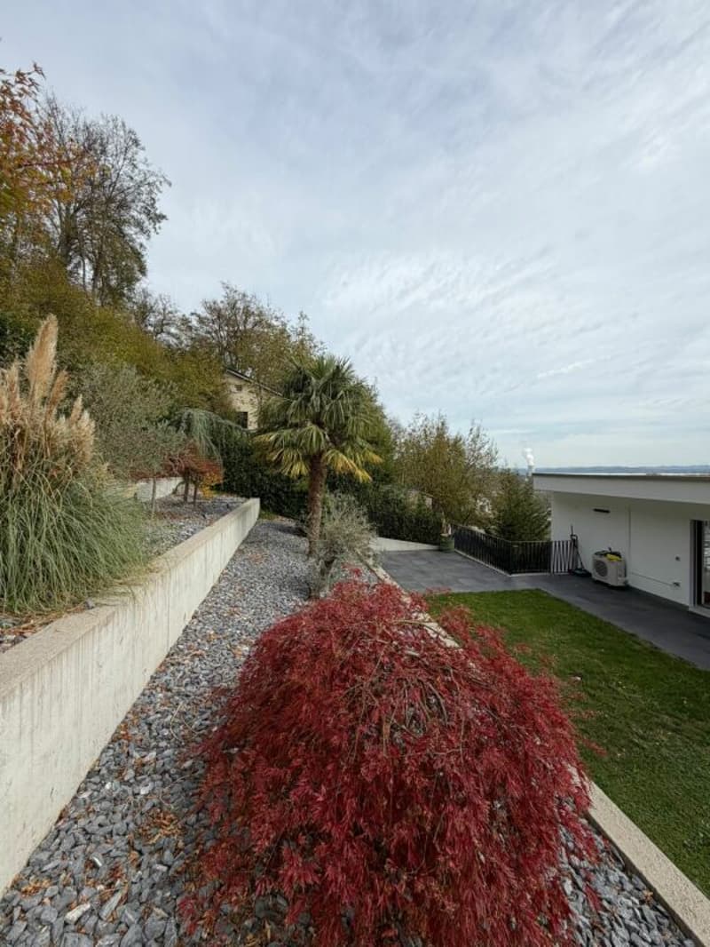 Duplex über Trimbach - Terrassen & Panoramablick (25)
