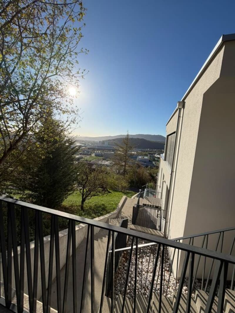 Duplex über Trimbach - Terrassen & Panoramablick (23)