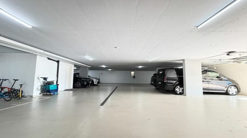 Duplex über Trimbach - Terrassen & Panoramablick (19)