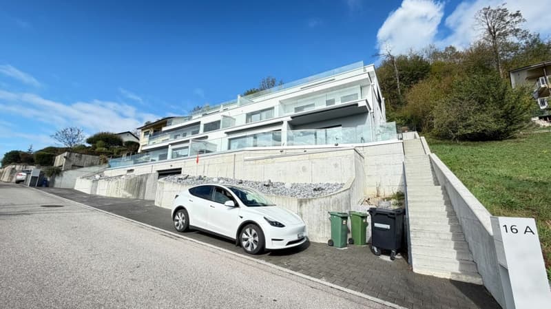 Duplex über Trimbach - Terrassen & Panoramablick (1)