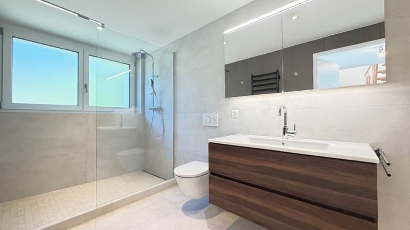 Maisonette über Oberwil - Weitsicht & Dachterrasse (10)