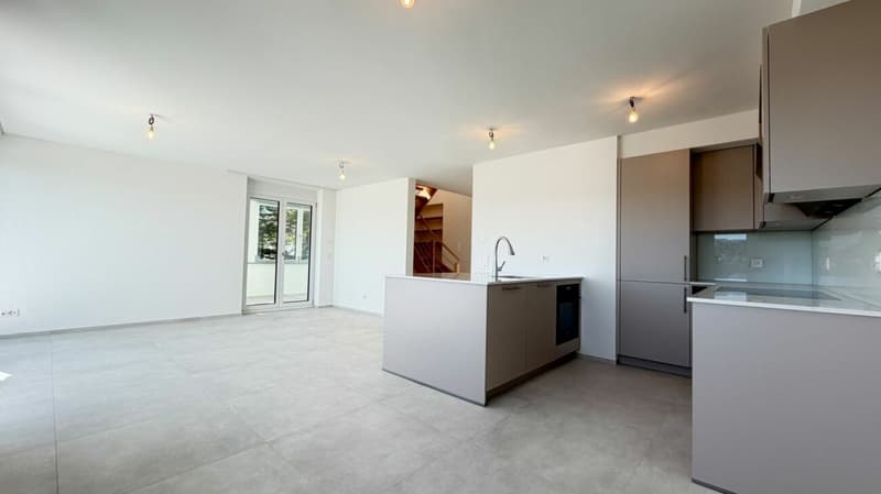 Maisonette über Oberwil - Weitsicht & Dachterrasse (8)