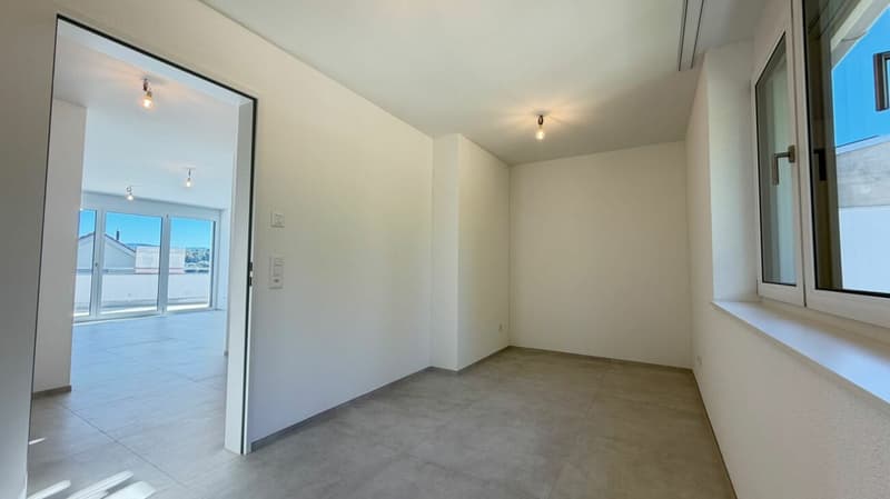 Maisonette über Oberwil - Weitsicht & Dachterrasse (6)
