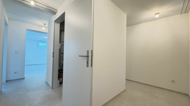 Gartenglück in Oberwil - Wintergarten & Privatgarten (13)