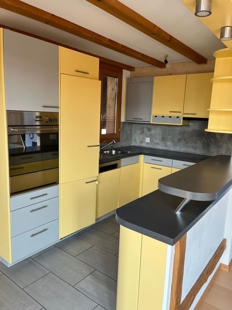 Appartamento maisonette in una ex fattoria (4)