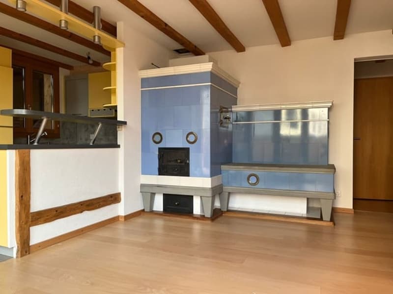 Appartamento maisonette in una ex fattoria (5)
