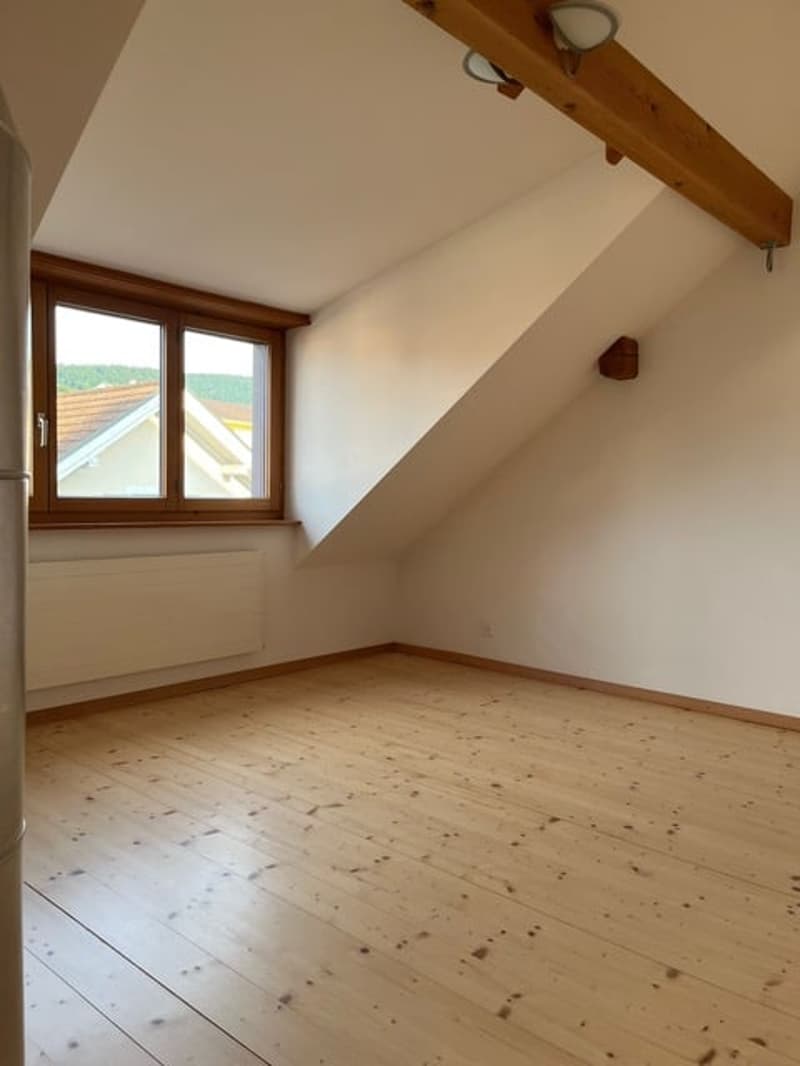 Appartamento maisonette in una ex fattoria (10)