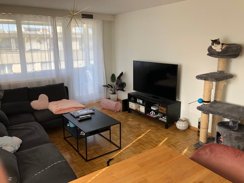 Schöne, kinderfreundliche Wohnung mit Balkon im 3. OG (10)