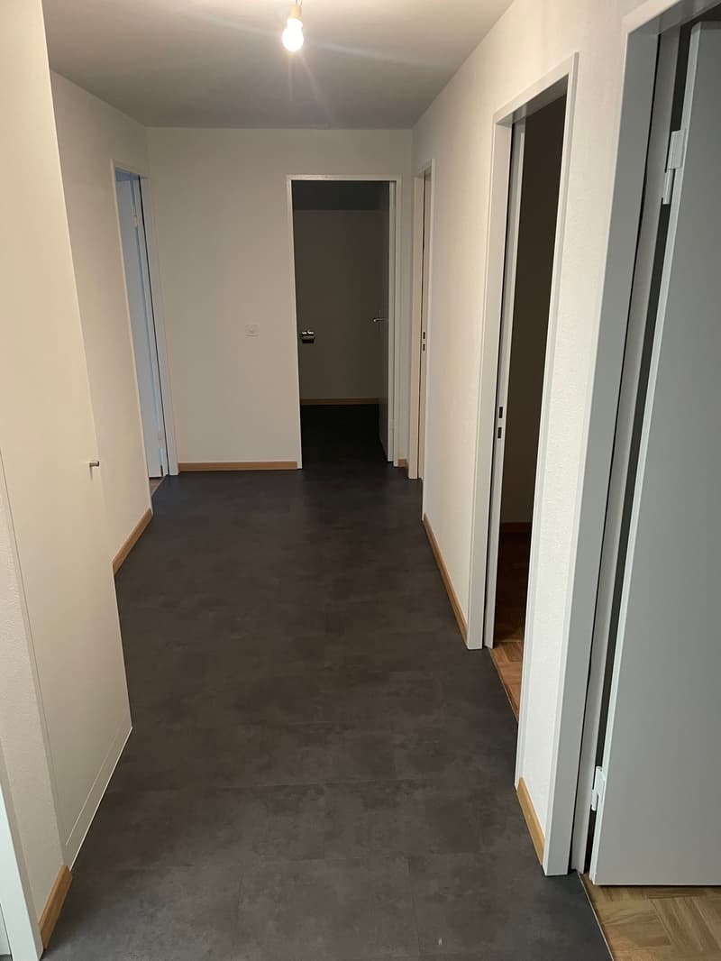 Appartamento di 4 locali attraente (12)