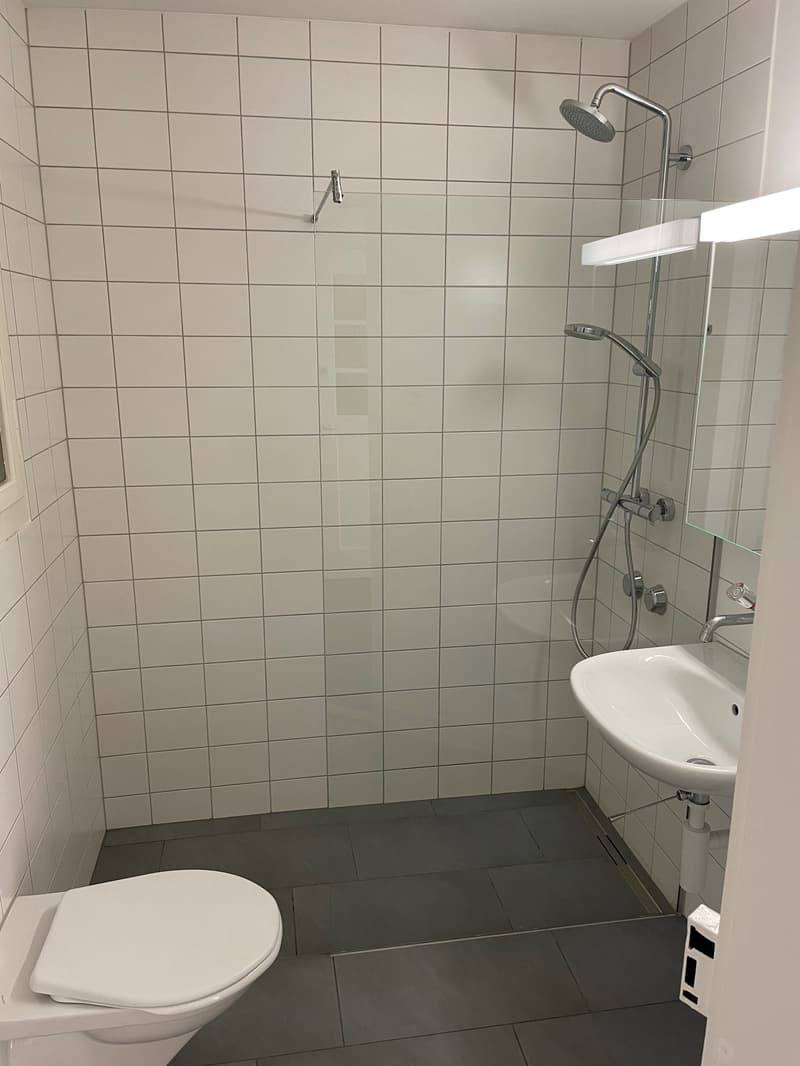 Schöne, gemütliche Altbauwohnung (3)