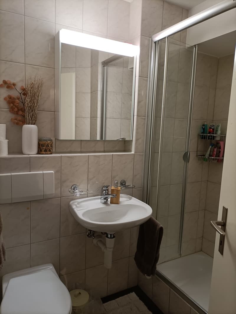 Attraktive 4.5 Zi-Wohnung im Naherholungsgebiet (9)