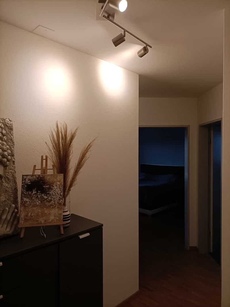 Attraktive 4.5 Zi-Wohnung im Naherholungsgebiet (4)