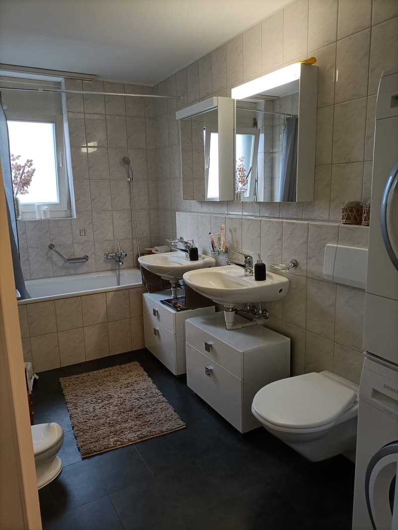 Attraktive 4.5 Zi-Wohnung im Naherholungsgebiet (13)
