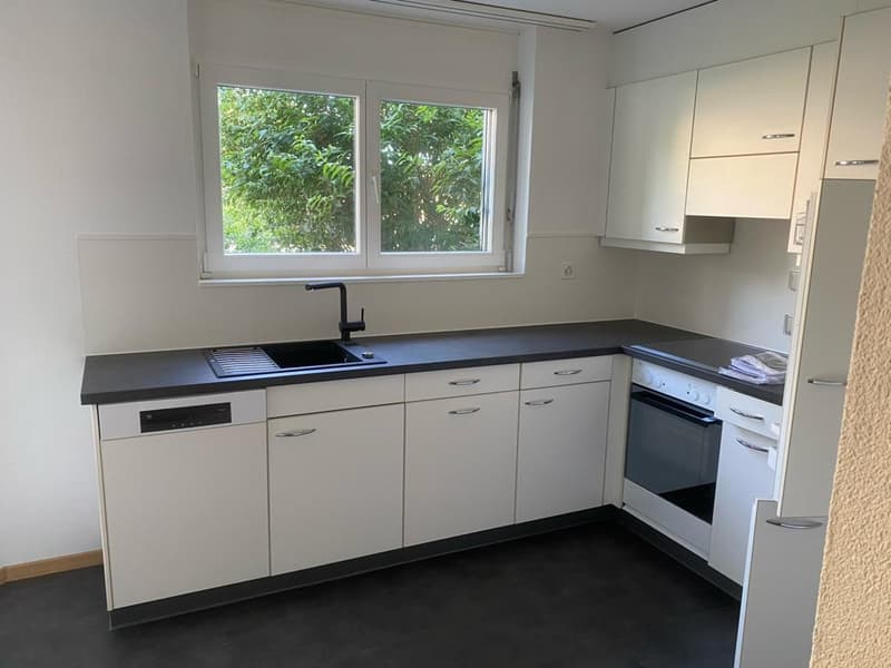 Attraktive 4.5 Zi-Wohnung im Naherholungsgebiet (6)