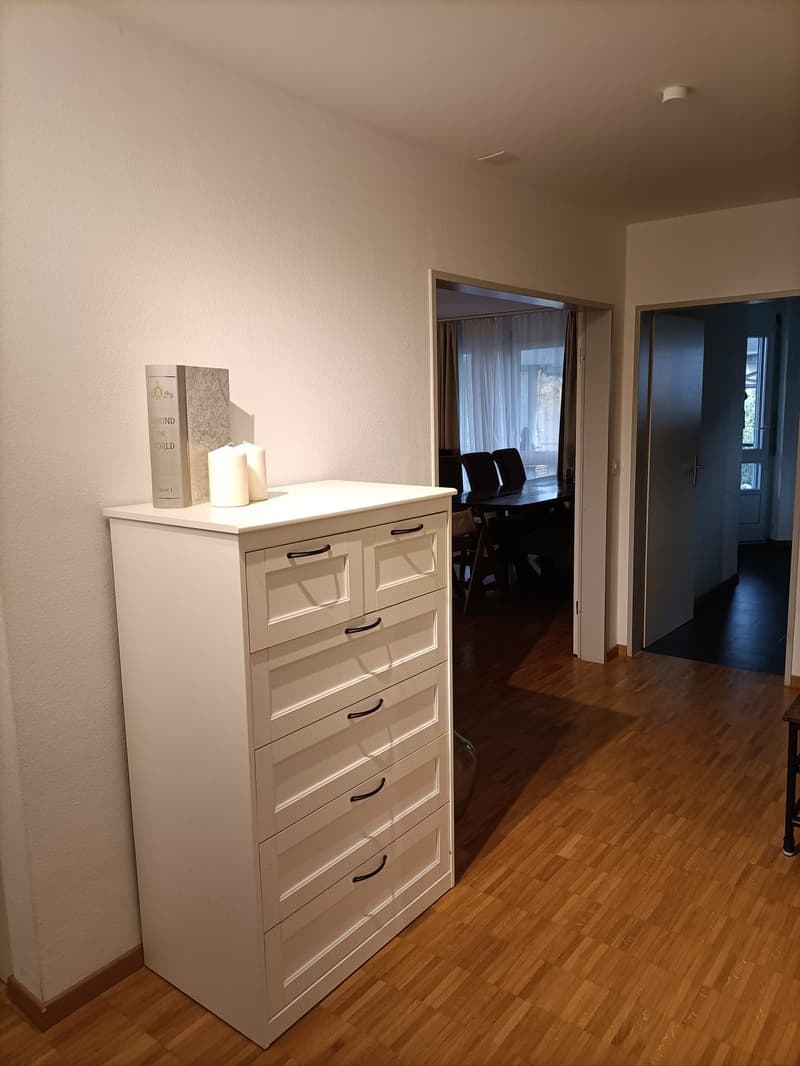 Attraktive 4.5 Zi-Wohnung im Naherholungsgebiet (3)