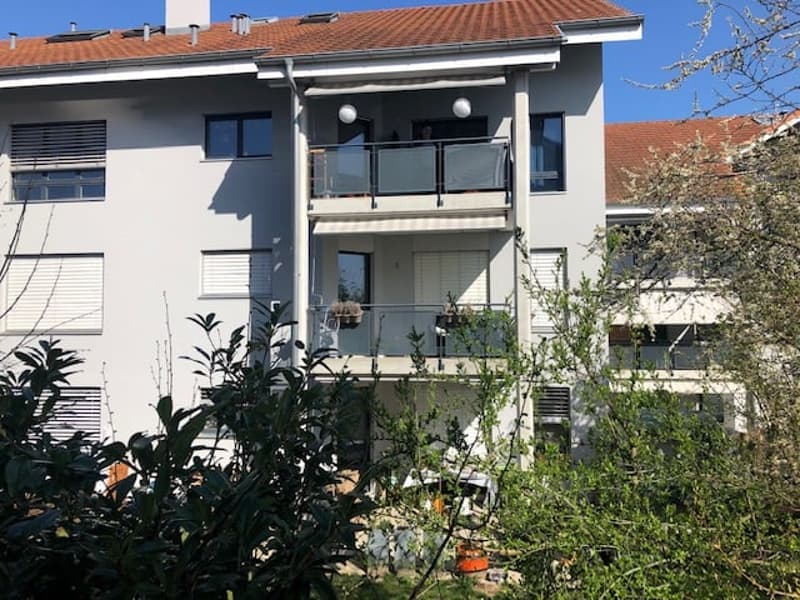 Attraktive 4.5 Zi-Wohnung im Naherholungsgebiet (1)