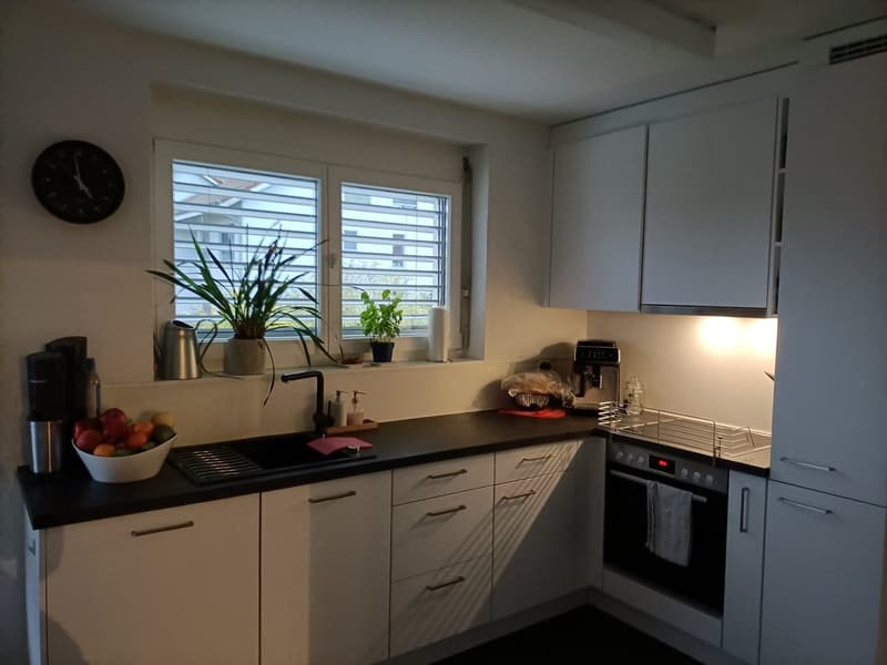 Attraktive 4.5 Zi-Wohnung im Naherholungsgebiet (11)