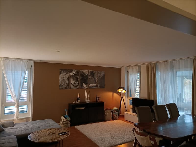 Attraktive 4.5 Zi-Wohnung im Naherholungsgebiet (8)