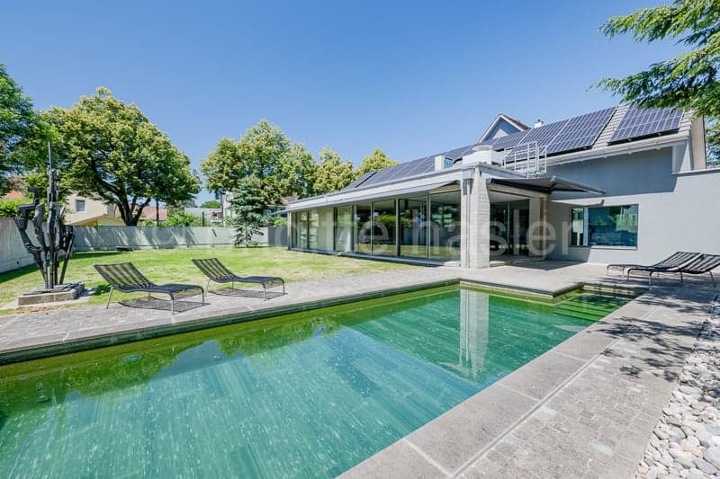 Modern house with solar panels, large windows, swimming pool, loungers, garden, trees