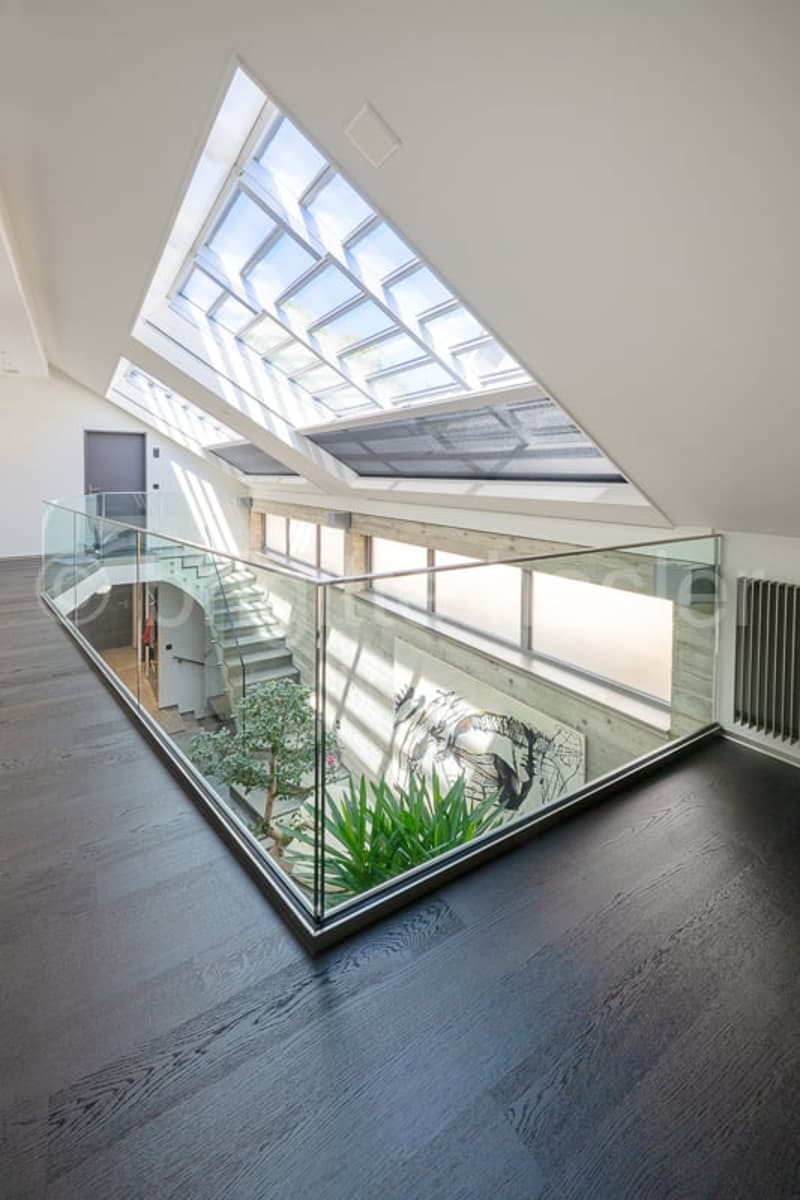 A room with black hardwood flooring, white walls, a glass railing with a view of stairs, an indoor plant, and a glass-enclosed terrace with plants and a large glass skylight.
