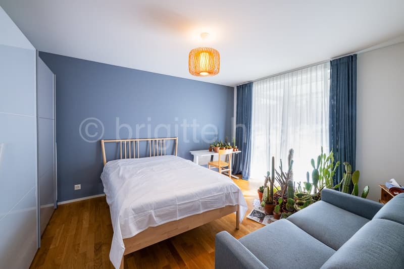 Bedroom with wooden bed, blue walls, wooden floor, white bedsheet, wooden desk, wooden chair, cactus plants, white curtains, lamp