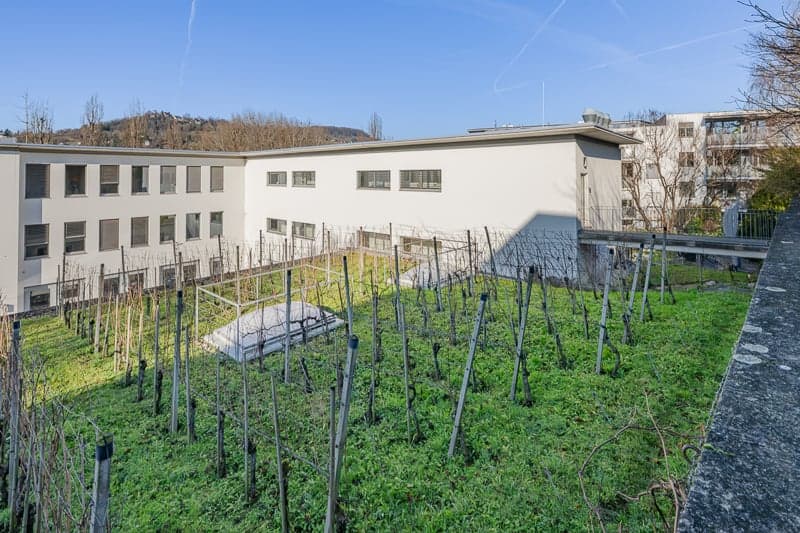 Moderne Büroräume in Riehen - Lörrracherstrasse 50 (9)