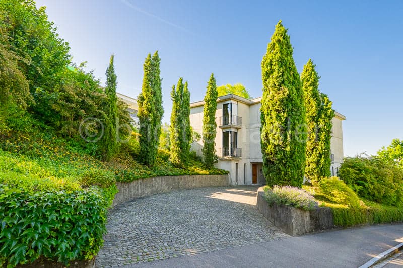 Haus Alder: Repräsentative Liegenschaft an begehrter Wohn- und Aussichtslage (2)