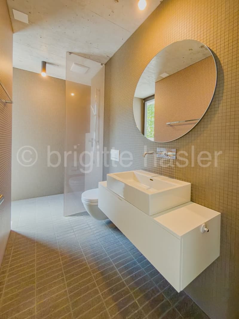 Moderne Designer-Liegenschaft mit Pool  an exklusiver Lage auf der Binninger Höhe (11)