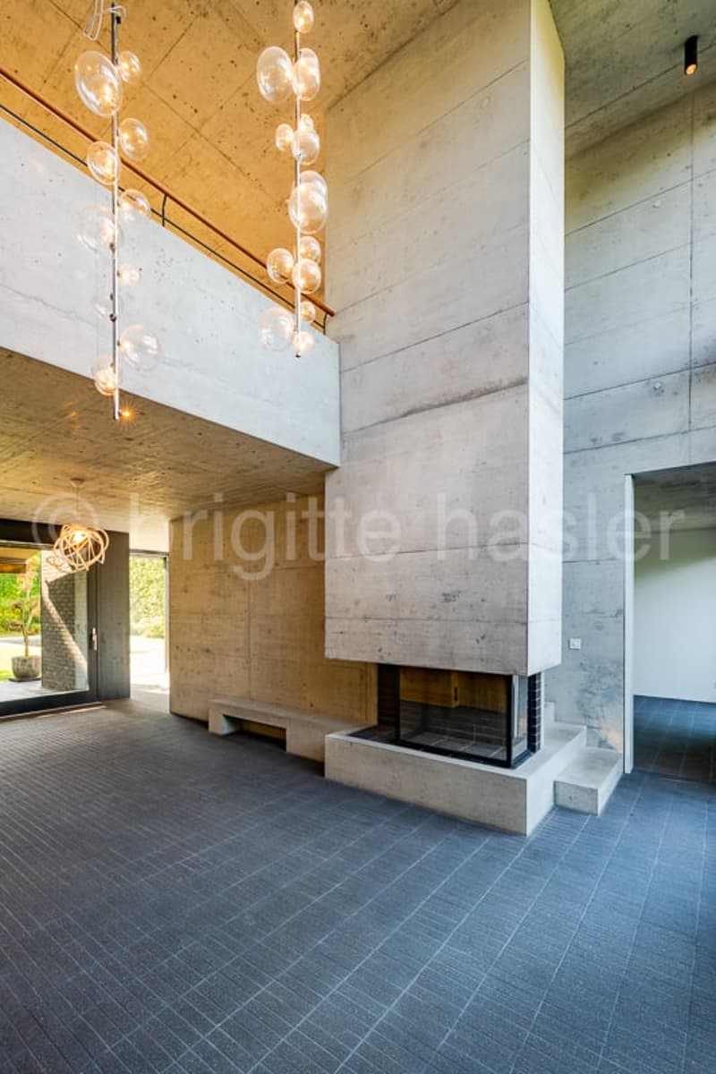 Moderne Designer-Liegenschaft mit Pool  an exklusiver Lage auf der Binninger Höhe (4)