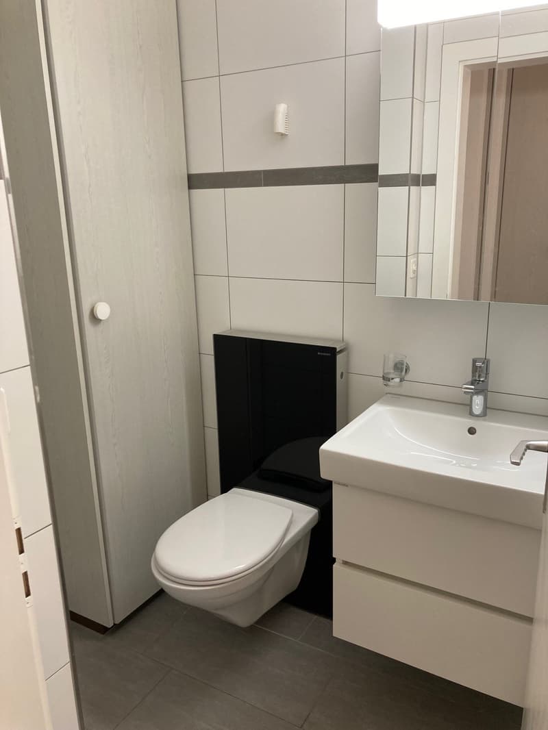 An ruhiger, schöner Lage vermieten wir (11)