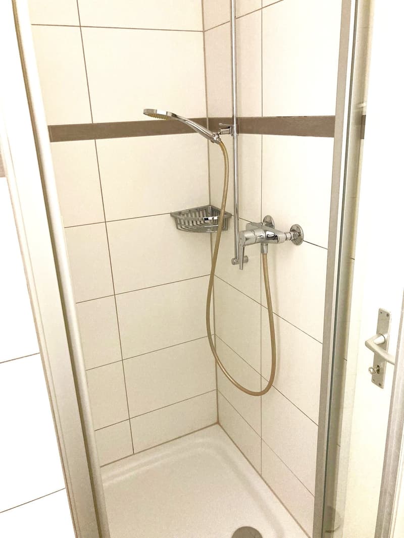 An ruhiger, schöner Lage vermieten wir (12)