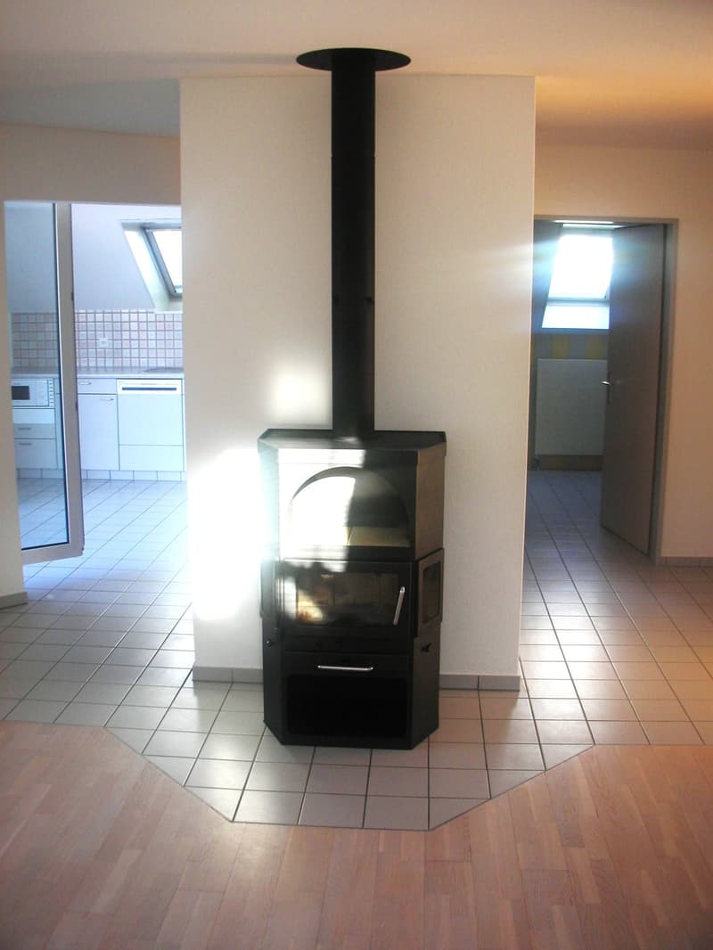 Charmante 2.5-Zimmer-Dachwohnung mit Balkon in Wangen bei Olten (3)