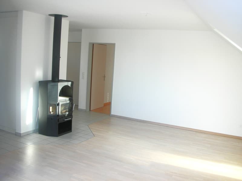 Charmante 2.5-Zimmer-Dachwohnung mit Balkon in Wangen bei Olten (2)