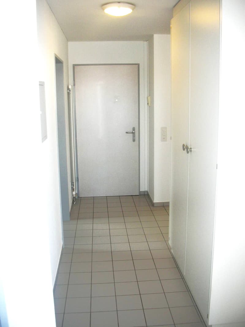 Charmante 2.5-Zimmer-Dachwohnung mit Balkon in Wangen bei Olten (6)