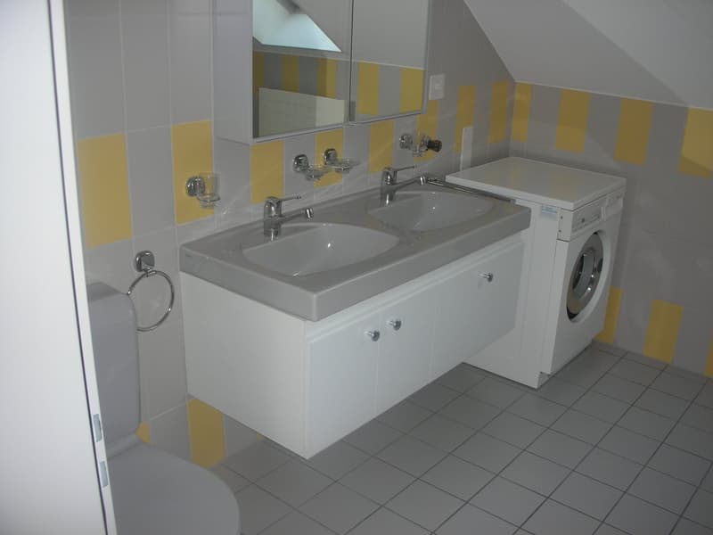 Charmante 2.5-Zimmer-Dachwohnung mit Balkon in Wangen bei Olten (9)